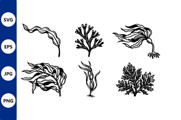 Seaweed Silhouettes in Black and White: Graphics & Illustrations